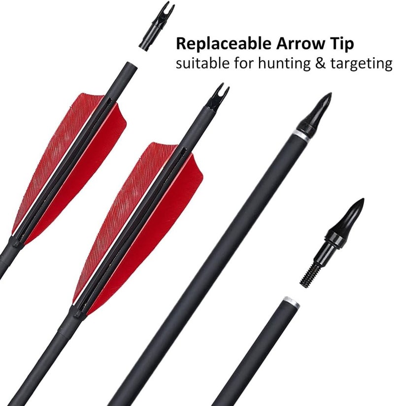 Luoyer 12 Pcs Archery Arrows with Feathers Removable Tips 30inch Hunting Arrows for Recurve Bow Longbow Compound Bow for Adults Targeting Practice - Image 3